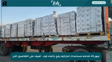 عبور 45 شاحنة مساعدات إماراتية رفح باتجاه غزة.. تعرف على التفاصيل الآن